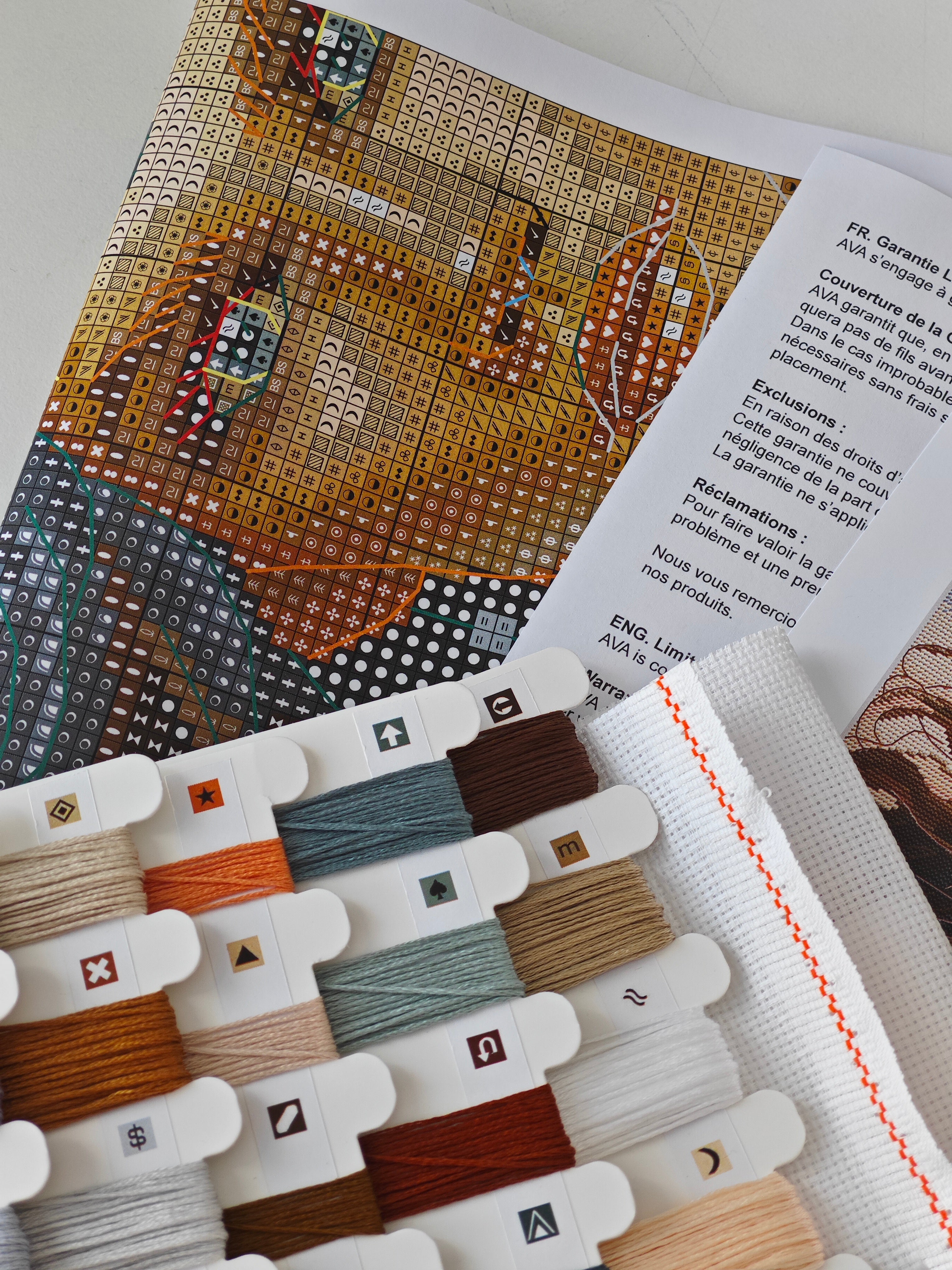 The Worrior and the Wolf - Cross Stitch Kit AVA P076